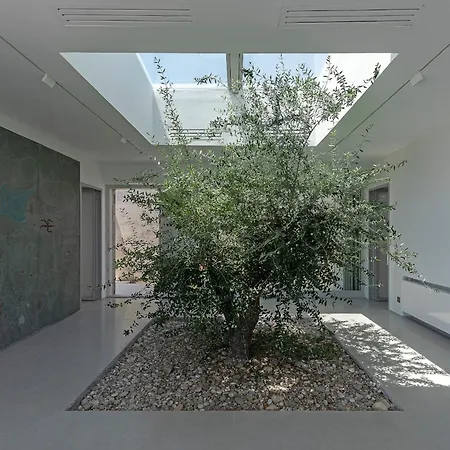 Paleopoli *